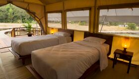 Capture the serene beauty of Cambodia’s jungle camping
